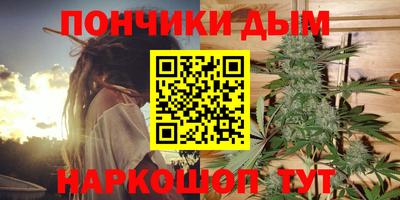 гидра Пенза