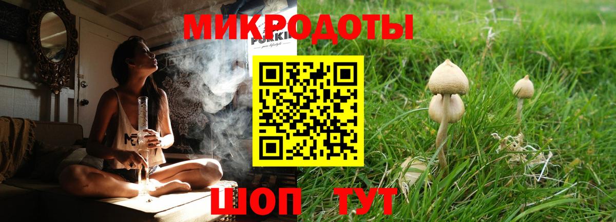 Галлюциногенные грибы прущие грибы  Вход с VPN  Саратов 