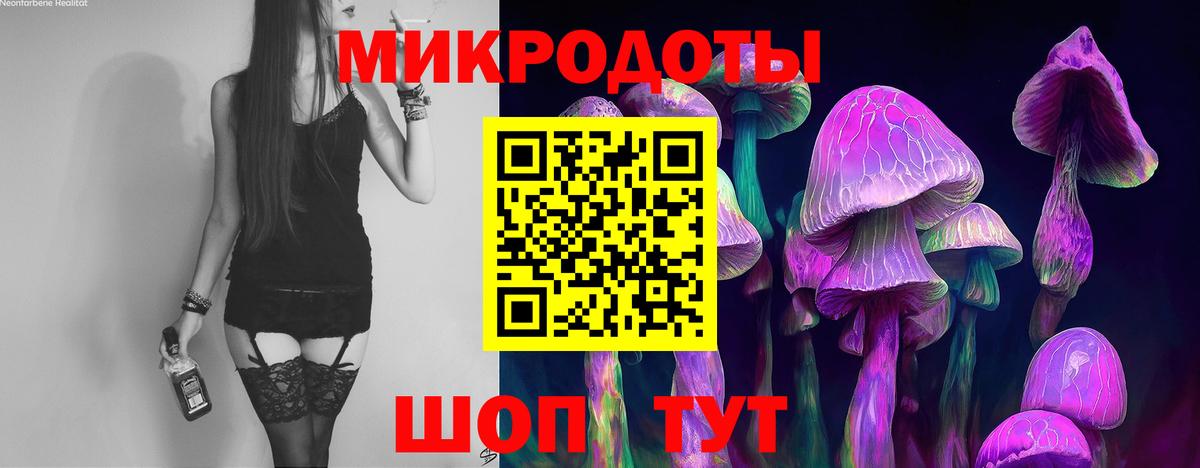 Псилоцибиновые грибы Psilocybine cubensis Саратов